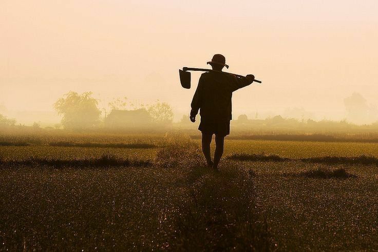 Cangkul Si Buruh Miskin jpeg